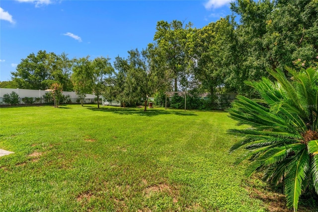 4801 NE 8th St, Ocala, FL 34470 - photo 18