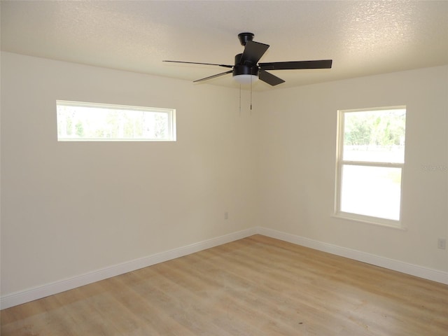 13751 NE 4th St, Williston, FL 32696 - photo 17