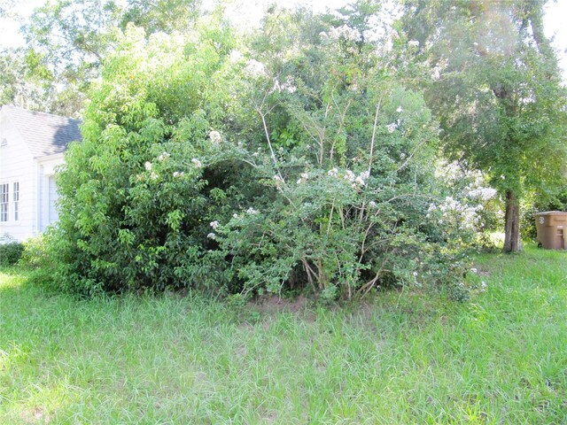 216 SE 13th Ave, Ocala, FL 34471 - photo 21