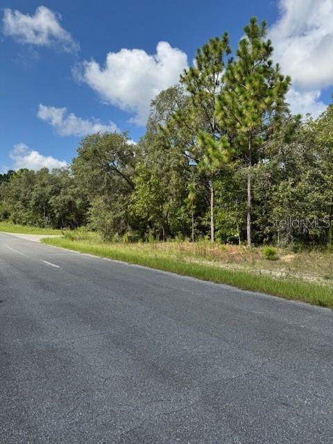 2286 N Stampede Dr, Beverly Hills, FL 34465 - photo 1