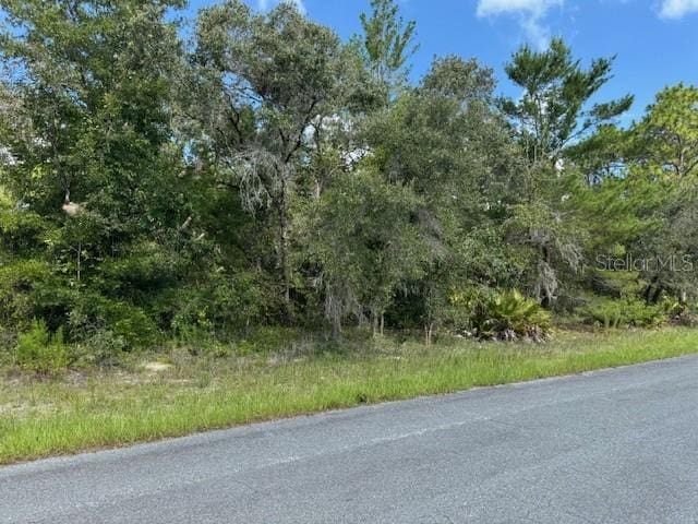 2286 N Stampede Dr, Beverly Hills, FL 34465 - photo 2
