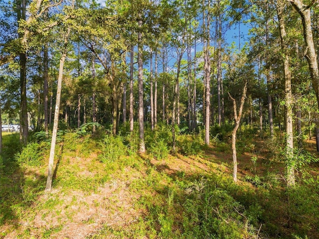 00 NW 117th Ct, Ocala, FL 34482 - photo 3