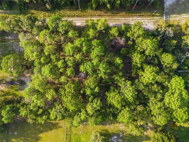 00 NW 117th Ct, Ocala, FL 34482 - photo 5