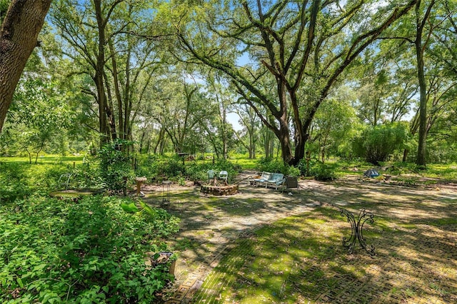 9013 SW 154th St, Archer, FL 32618 - photo 2