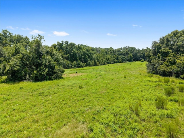 9013 SW 154th St, Archer, FL 32618 - photo 9