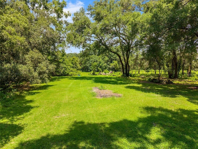 9013 SW 154th St, Archer, FL 32618 - photo 12