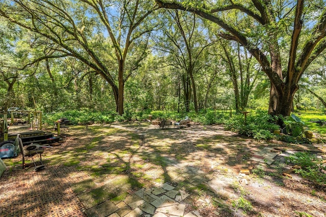 9013 SW 154th St, Archer, FL 32618 - photo 19