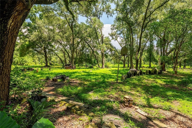 9013 SW 154th St, Archer, FL 32618 - photo 24