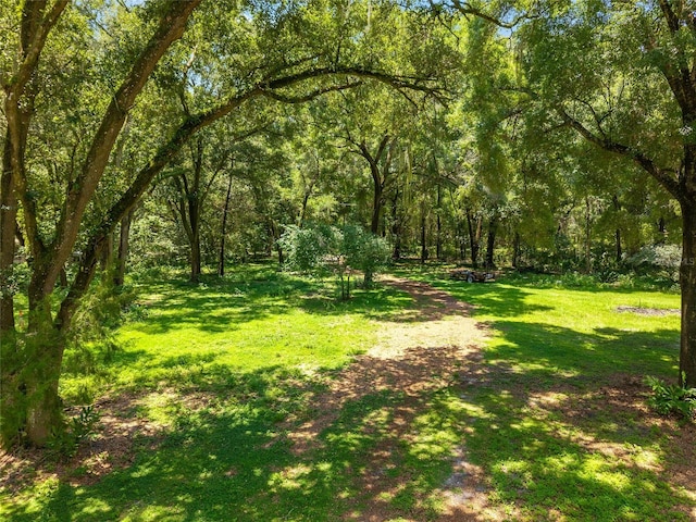 9013 SW 154th St, Archer, FL 32618 - photo 23