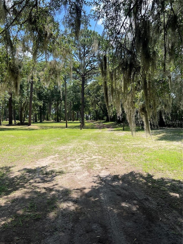 20535 SW 5th Pl, Dunnellon, FL 34431 - photo 4