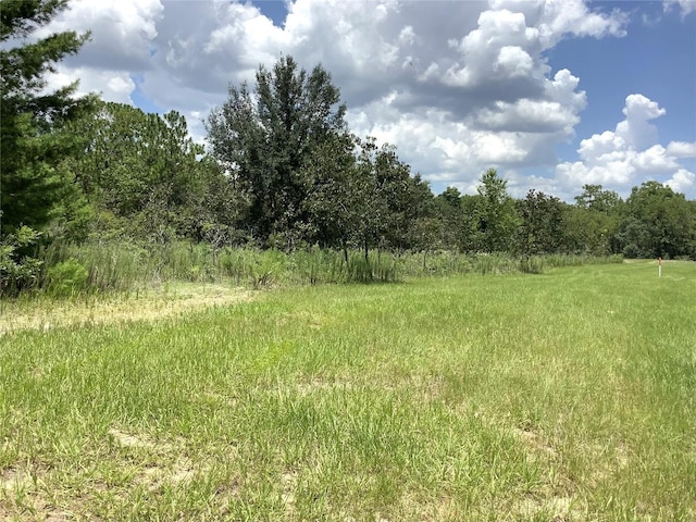 Marion Oaks Blvd, Ocala, FL 34473 - photo 4