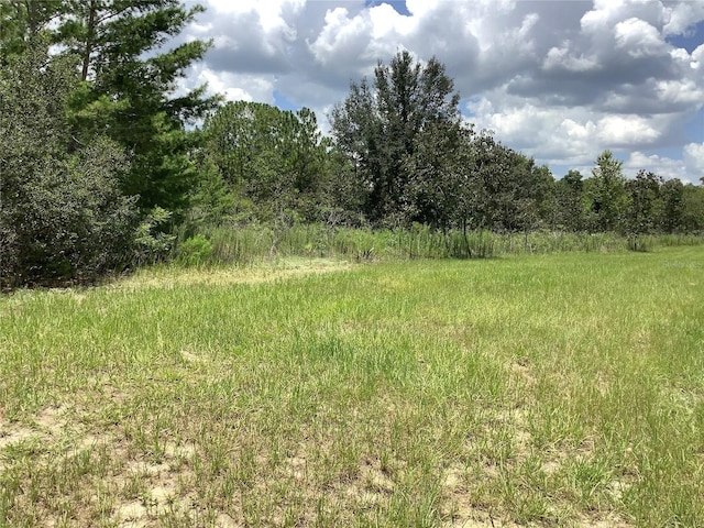Marion Oaks Blvd, Ocala, FL 34473 - photo 11