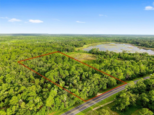 TBD Highway 315, Fort Mc Coy, FL 32134 - photo 1