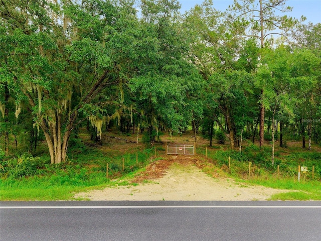 TBD Highway 315, Fort Mc Coy, FL 32134 - photo 3