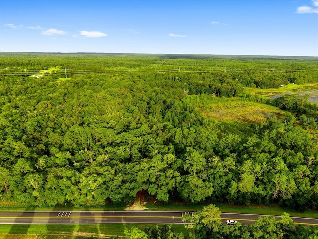 TBD Highway 315, Fort Mc Coy, FL 32134 - photo 5