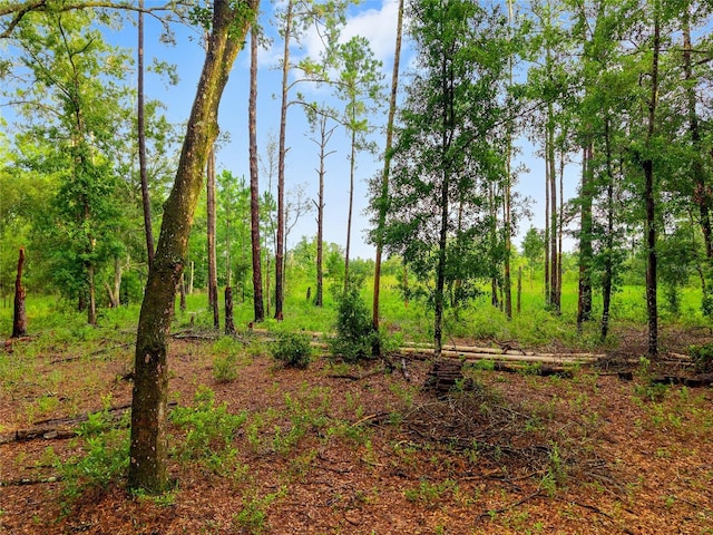 TBD Highway 315, Fort Mc Coy, FL 32134 - photo 7