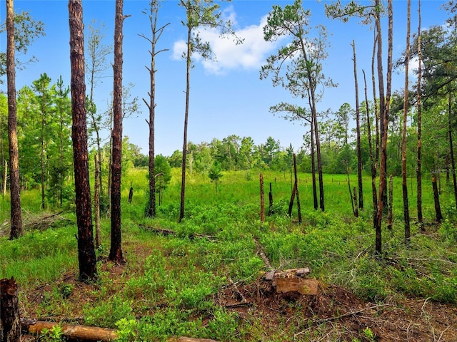 TBD Highway 315, Fort Mc Coy, FL 32134 - photo 8