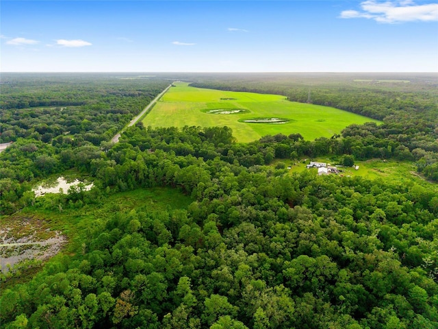 TBD Highway 315, Fort Mc Coy, FL 32134 - photo 9