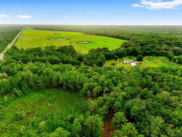 TBD Highway 315, Fort Mc Coy, FL 32134 - photo 12