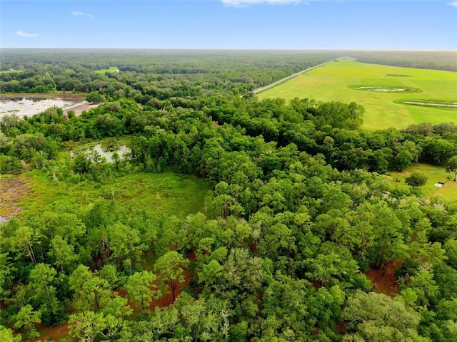 TBD Highway 315, Fort Mc Coy, FL 32134 - photo 13