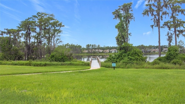 16632 Point Rock Dr, Winter Garden, FL 34787 - photo 66