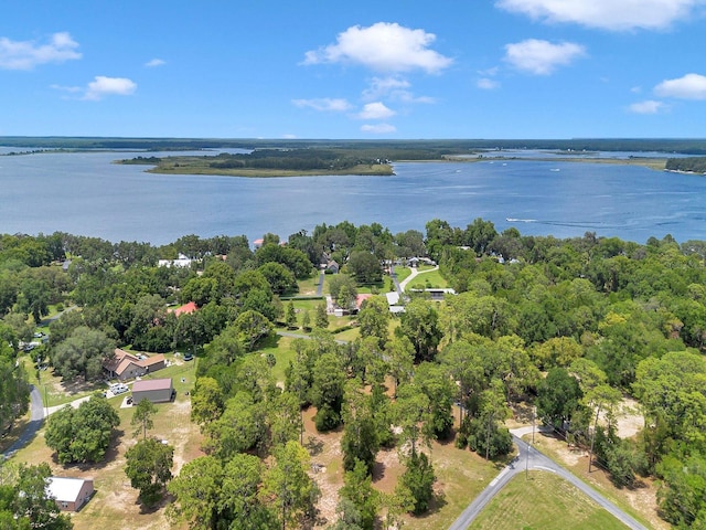 23608 NE 124th Place Rd, Fort Mc Coy, FL 32134 - photo 2