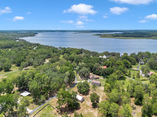 23608 NE 124th Place Rd, Fort Mc Coy, FL 32134 - photo 48