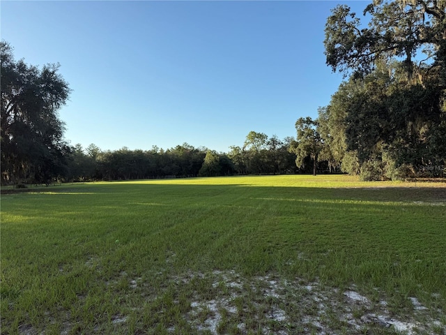 11070 NE 212th Ln, Fort Mc Coy, FL 32134 - photo 2