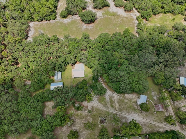 11070 NE 212th Ln, Fort Mc Coy, FL 32134 - photo 4