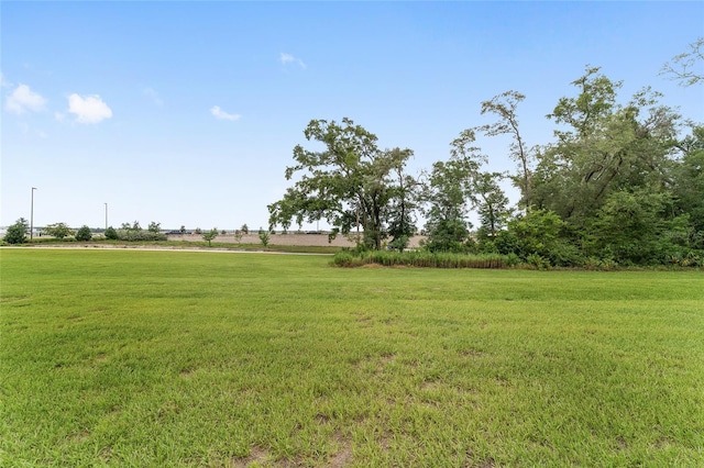 7067 SW 60th Ln, Ocala, FL 34474 - photo 57