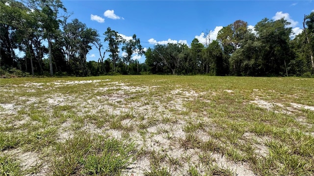 4619 E Withlacoochee Trl, Dunnellon, FL 34434 - photo 2