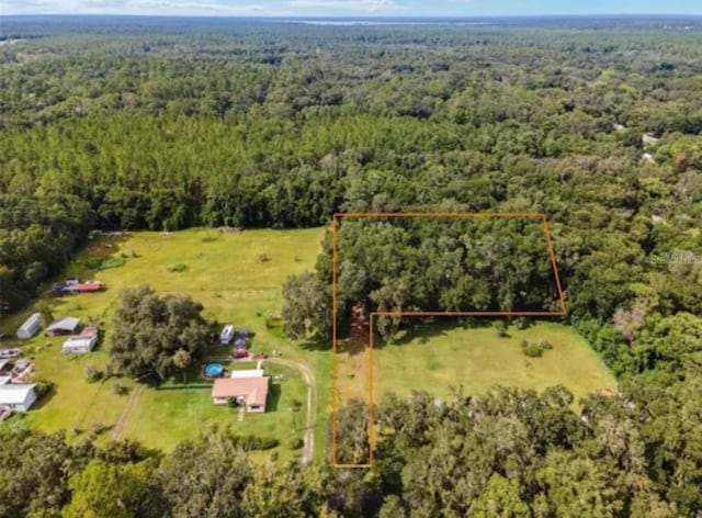 TBD SE 122nd Pl, Ocklawaha, FL 32179 - photo 1