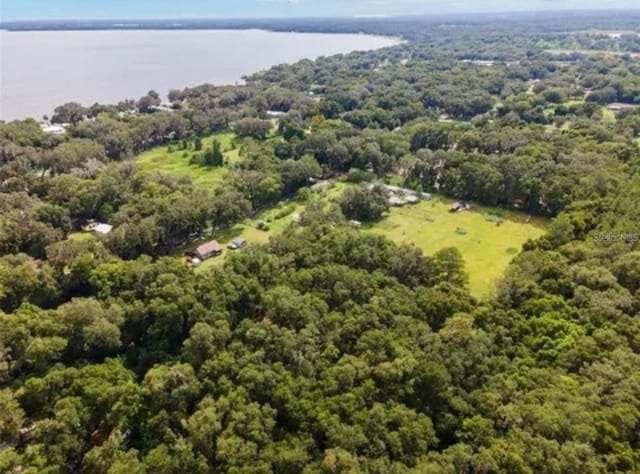 TBD SE 122nd Pl, Ocklawaha, FL 32179 - photo 3