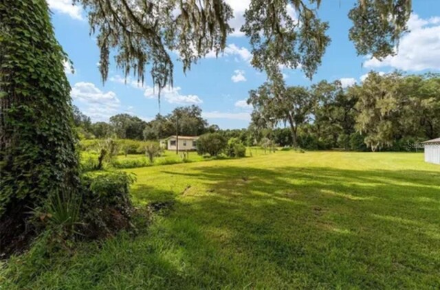 TBD SE 122nd Pl, Ocklawaha, FL 32179 - photo 4