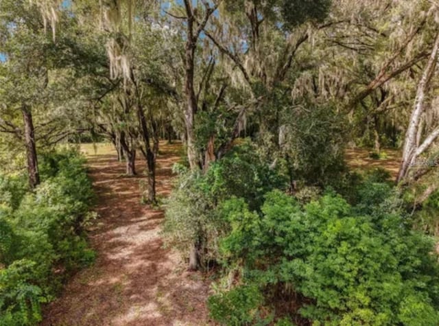 TBD SE 122nd Pl, Ocklawaha, FL 32179 - photo 5
