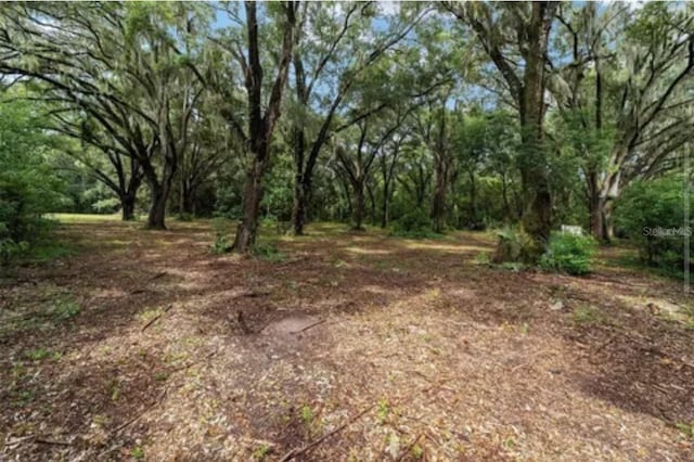 TBD SE 122nd Pl, Ocklawaha, FL 32179 - photo 6