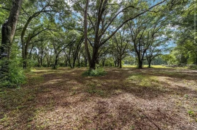 TBD SE 122nd Pl, Ocklawaha, FL 32179 - photo 7
