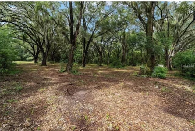 TBD SE 122nd Pl, Ocklawaha, FL 32179 - photo 8