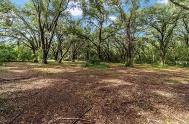 TBD SE 122nd Pl, Ocklawaha, FL 32179 - photo 9