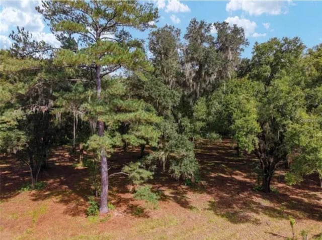 TBD SE 122nd Pl, Ocklawaha, FL 32179 - photo 10