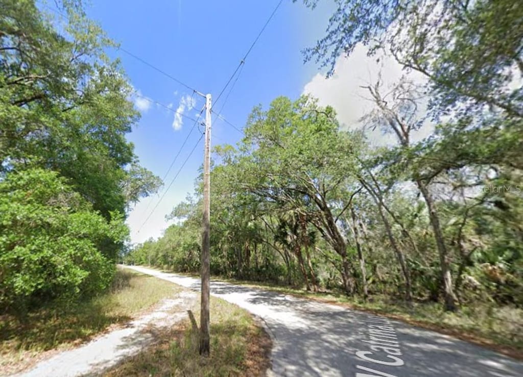 8125 W Catrina Ln, Crystal River, FL 34428 - photo 2