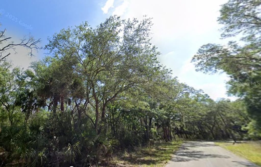 8125 W Catrina Ln, Crystal River, FL 34428 - photo 4