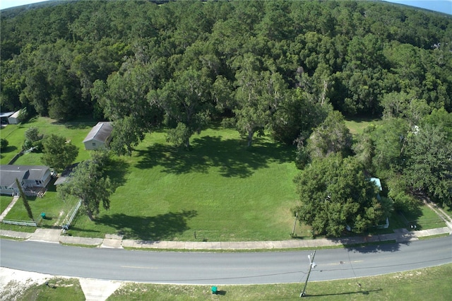 TBD Powell Rd, Dunnellon, FL 34431 - photo 1