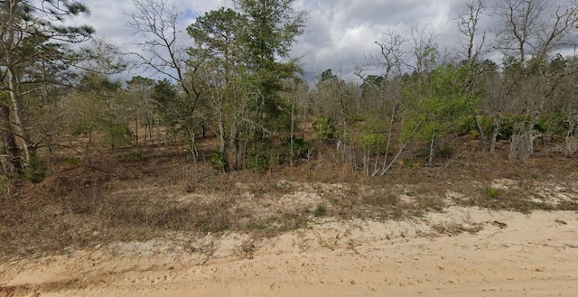 125 Akron St, Interlachen, FL 32148 - photo 2