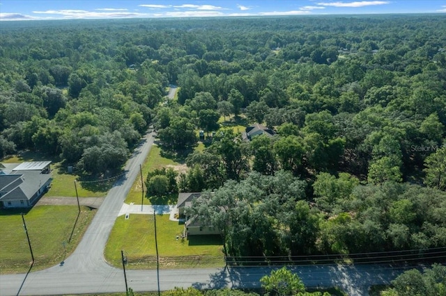 20396 SW 79th Ln, Dunnellon, FL 34431 - photo 49