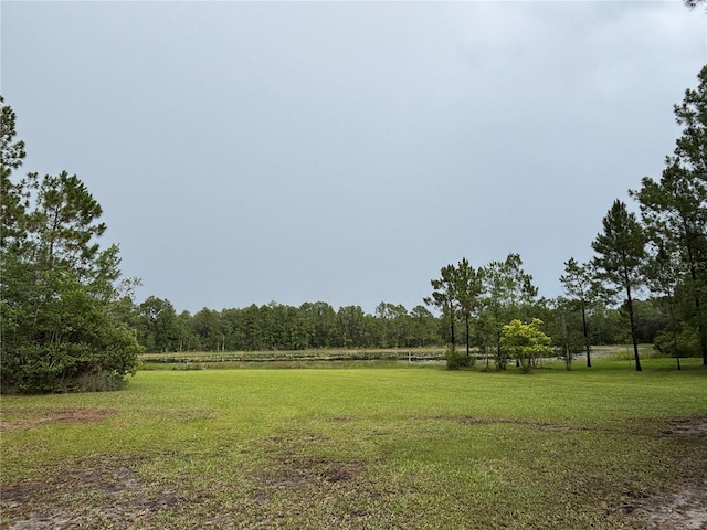 17601 SE 10th St, Silver Springs, FL 34488 - photo 14