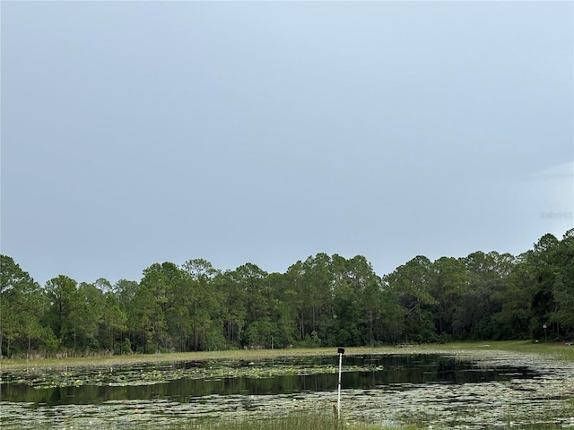 17601 SE 10th St, Silver Springs, FL 34488 - photo 15