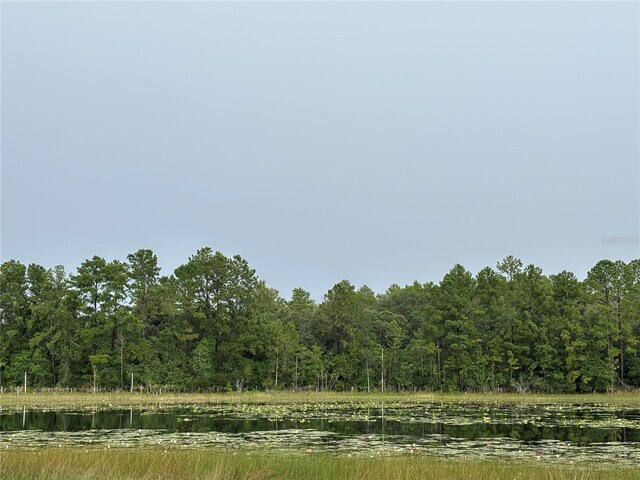 17601 SE 10th St, Silver Springs, FL 34488 - photo 16