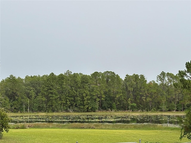 17601 SE 10th St, Silver Springs, FL 34488 - photo 20
