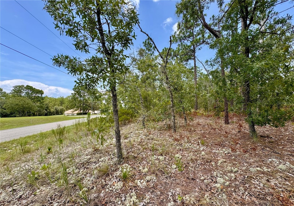5317 N Mint Pt, Beverly Hills, FL 34465 - photo 2